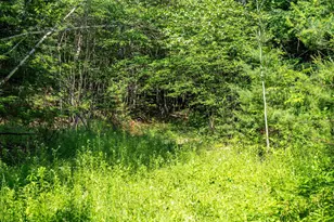 Lot 4 2 Tommy Lot Rd, Moultonborough, NH 03254 - Photo 1