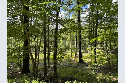 Lot 1&amp;2 Tower Hill Road, Hinsdale, NH 03451 - Photo 9