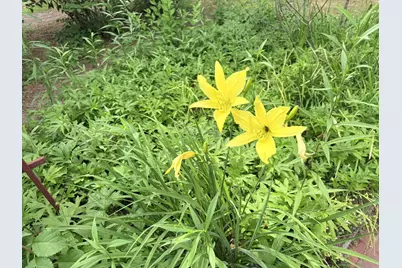 11 Willow Street, Exeter, NH 03883 - Photo 25