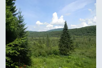 24 Nash Stream Road, Odell, NH 03582 - Photo 37