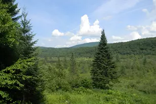 24 Nash Stream Rd, Odell, NH 03582 - Photo 37