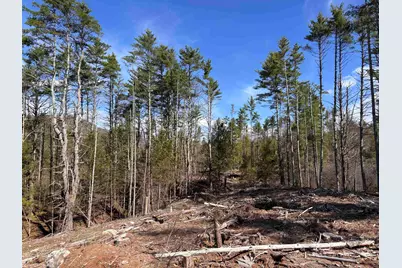 L:64 &amp; 65 Old Turnpike Road, Richmond, NH 03470 - Photo 5