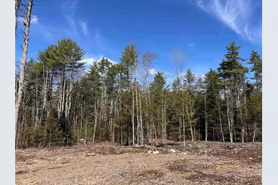 L:64 &amp; 65 Old Turnpike Road, Richmond, NH 03470 - Photo 3