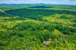 491 Raccoon Hill Rd, Salisbury, NH 03268 - Photo 57