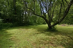 306 Stinson Lake Rd, Rumney, NH 03266 - Photo 7