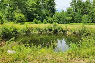 925 Center Rd, Goshen, NH 03752 - Photo 27