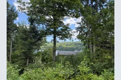31 Don Gerry Road #17, Bristol, NH 03222 - Photo 3