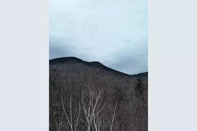 90 Loon Mountain Road #1162 Slope-side, Lincoln, NH 03251 - Photo 45