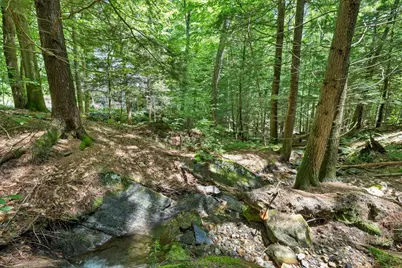 28 Cold Spring Road, Thornton, NH 03825 - Photo 43