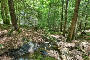 28 Cold Spring Rd, Thornton, NH 03825 - Photo 43