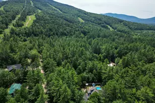 12 Tall Woods Loop, Bartlett, NH 03812 - Photo 43