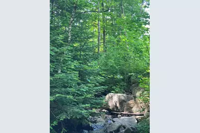 Lot 2&amp;3 Washburn/Meridan Hill Road, Columbia, NH 03576 - Photo 9