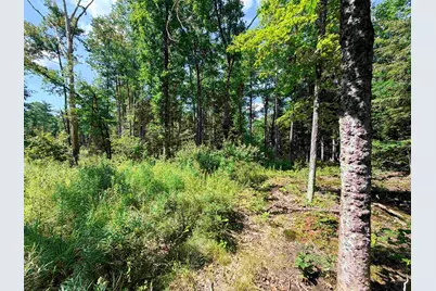 00 Foxtrot Road #20, Farmington, NH 03835 - Photo 5