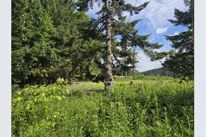 12 N. Fletcher Road, Groton, NH 03241 - Photo 5