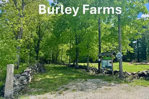 7B Violette Dr, Epping, NH 03042 - Photo 51