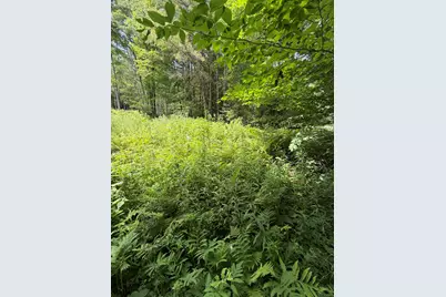 100 Ledge Road, Lisbon, NH 03585 - Photo 1