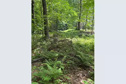 100 Ledge Road, Lisbon, NH 03585 - Photo 3