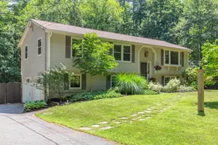 46 Cleveland Hill Rd, Brookline, NH 03033 - Photo 1