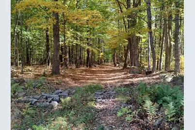 21 Trask Mountain Road, Wolfeboro, NH 03894 - Photo 45