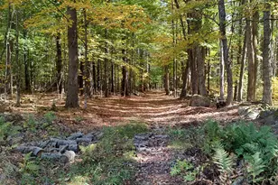 21 Trask Mountain Rd, Wolfeboro, NH 03894 - Photo 45
