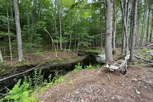 160 Horne Rd, Belmont, NH 03220 - Photo 11