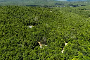 482 Bailey Rd, Washington, NH 03280 - Photo 11