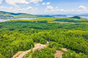 1 Jaytee Dr, Alton, NH 03809 - Photo 31