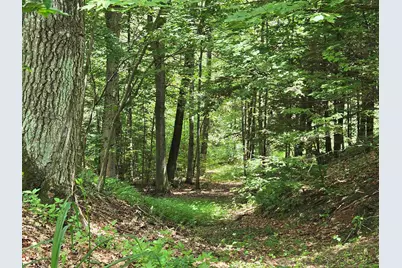 208 Nh Route 3A, Hill, NH 03243 - Photo 3