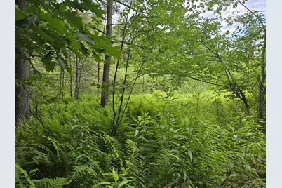 208 Nh Route 3A, Hill, NH 03243 - Photo 5