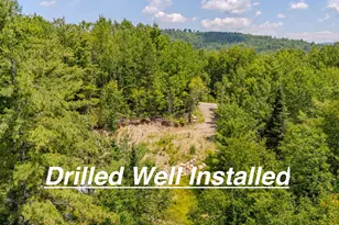 61 Thorn Hill Rd, Bethlehem, NH 03574 - Photo 1