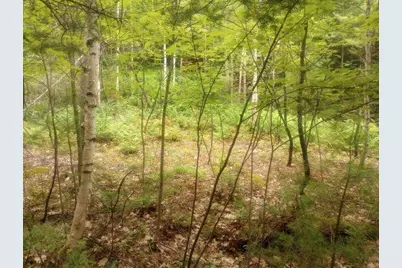 Swiftwater Circle #255, Haverhill, NH 03785 - Photo 3
