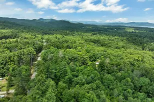 135 Dorrs Corner Rd, Ossipee, NH 03814 - Photo 25