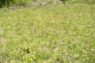 14 Winter St, Northumberland, NH 03582 - Photo 5
