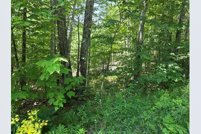 X Methodist Hill Road, Enfield, NH 03748 - Photo 7