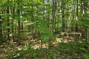 X Methodist Hill Rd, Enfield, NH 03748 - Photo 1