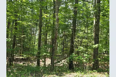X Methodist Hill Road, Enfield, NH 03748 - Photo 9