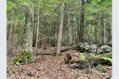 Lot 11 True Road #R23-Lot 11, Pittsfield, NH 03263 - Photo 7