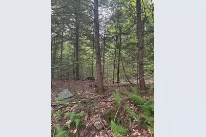 0 Access Road #MAP 18A LOT 15, Chesterfield, NH 03462 - Photo 5