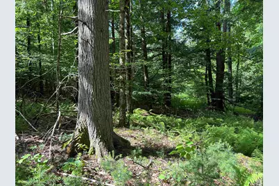 59 Curtis Road, Farmington, NH 03835 - Photo 11
