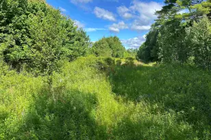 59 Curtis Rd, Farmington, NH 03835 - Photo 7
