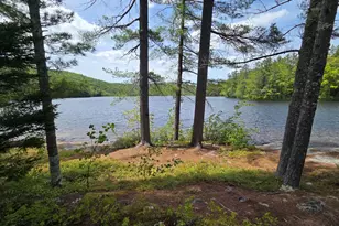 57 Tewksbury Pond Landing, Grafton, NH 03240 - Photo 3