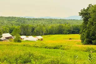 14 Butternut Ln, Tuftonboro, NH 03816 - Photo 31