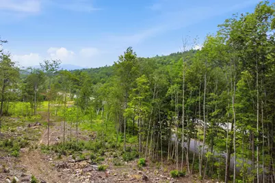 303 Sandwich Notch Road #2, Thornton, NH 03285 - Photo 5