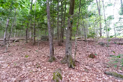 000 Burt Hill Road, Winchester, NH 03455 - Photo 15
