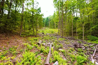 000 Burt Hill Road, Winchester, NH 03455 - Photo 17