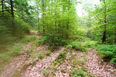 000 Burt Hill Road, Winchester, NH 03455 - Photo 31