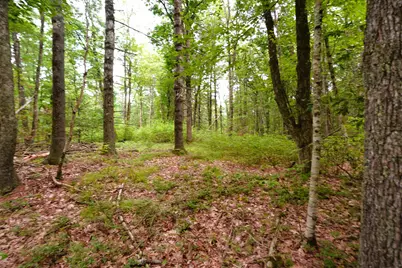 000 Burt Hill Road, Winchester, NH 03455 - Photo 21