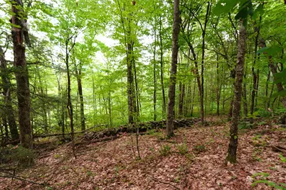 000 Burt Hill Road, Winchester, NH 03455 - Photo 19