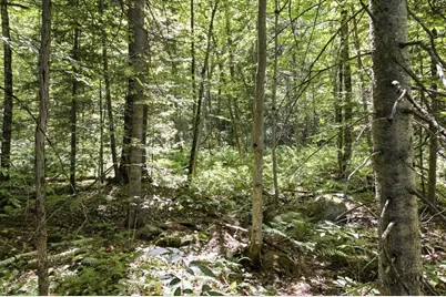 0 Highland Avenue #Map 85, Lots 125 &amp; 126, Map 86, Lots 4 &amp; 5, Littleton, NH 03561 - Photo 21