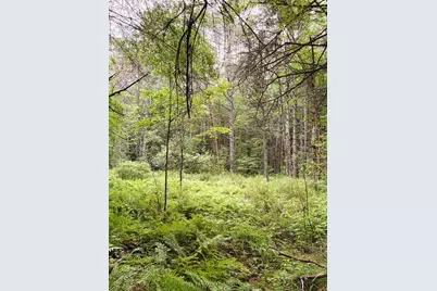 0 Old Partridge Lake Road, Littleton, NH 03561 - Photo 19